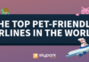 The top pet-friendly airlines in the world