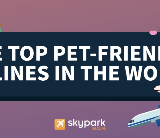 The top pet-friendly airlines in the world